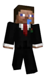 GamerMaty's Minecraft skin wearing the Migrator cape