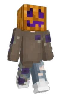 Front of Cinoci's skin