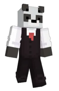 Front of Guzee's skin