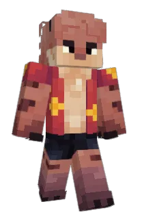 Front of FLexeLon's skin