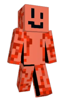 Front of POWCONN's skin