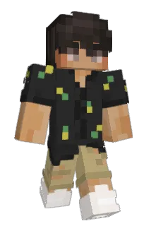 cfbn Minecraft avatar full body
