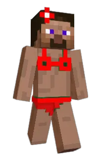 Front of xshell8's skin