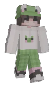 Skin preview