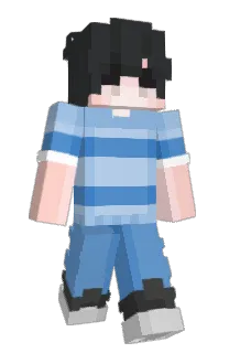 Front of torify's skin