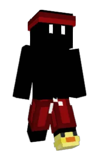Front of zokvi's skin