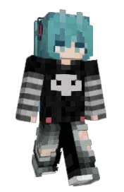 Skin preview