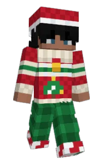 Front of seshon's skin
