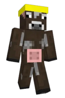 ch2005 Minecraft avatar full body