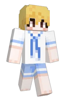 ch2rr1 Minecraft avatar full body