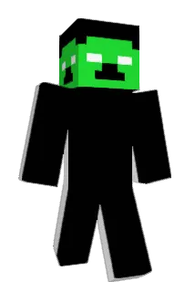 chPPL69 Minecraft avatar full body