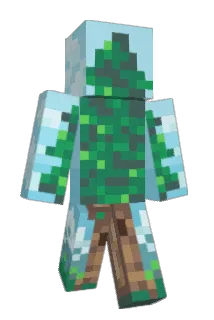 cha1025 Minecraft avatar full body