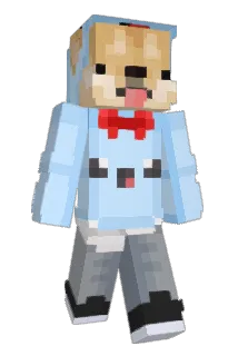 chamkee Minecraft avatar full body