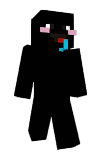 chan124 Minecraft avatar full body