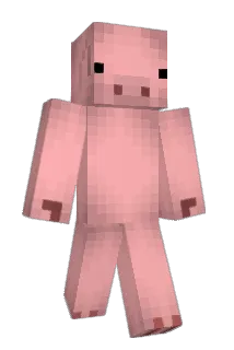 chan3525 Minecraft avatar full body