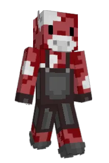 chan_we Minecraft avatar full body