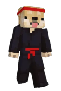 chapaxz Minecraft avatar full body