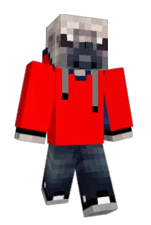 charbear13 Minecraft avatar full body