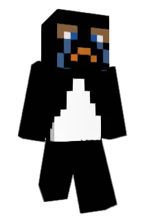 charchygamer Minecraft avatar full body