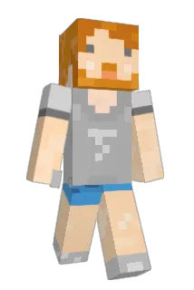 charivnick Minecraft avatar full body