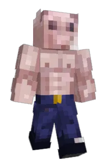 chasemcniff Minecraft avatar full body