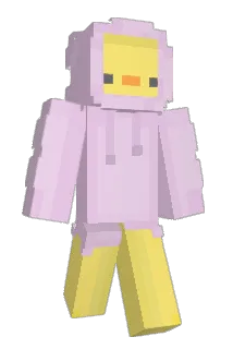 checker488 Minecraft avatar full body