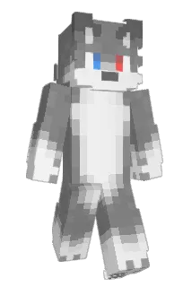 cheerswelldone Minecraft avatar full body