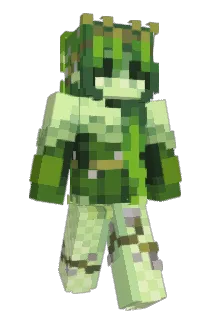 cheesefryer Minecraft avatar full body