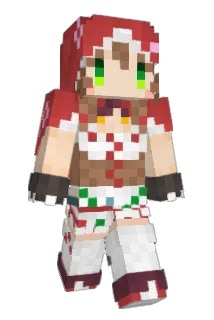 chellin Minecraft avatar full body
