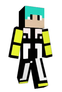 chen29 Minecraft avatar full body