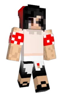 chgameing Minecraft avatar full body