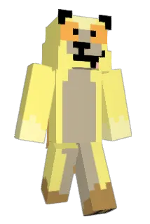 chica806 Minecraft avatar full body