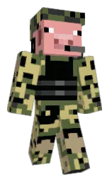 Custom render preview