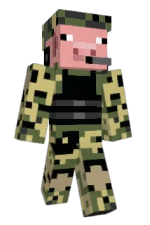 chickbuscus Minecraft avatar full body