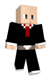 chienpaladin Minecraft avatar full body
