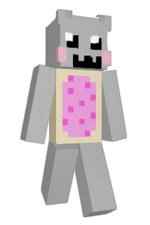 chikenpretty Minecraft avatar full body