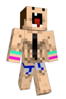 chiwe64 Minecraft avatar full body