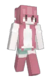 chixsj Minecraft avatar full body
