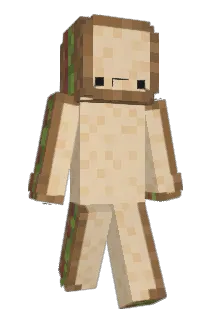 chlebek_14 Minecraft avatar full body