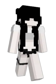 chlow Minecraft avatar full body