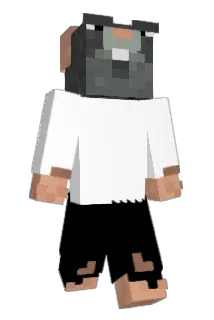 chocholand Minecraft avatar full body