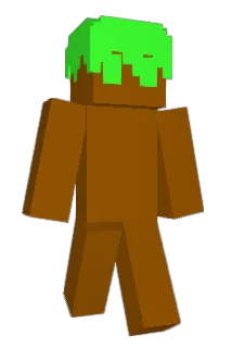 choifi Minecraft avatar full body
