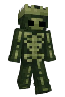 choko3333 Minecraft avatar full body