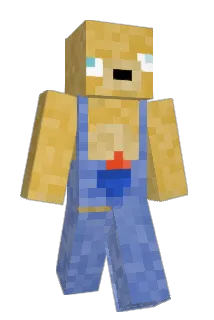 choko5 Minecraft avatar full body