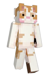 choochoo420 Minecraft avatar full body