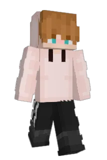 chookiepookie Minecraft avatar full body