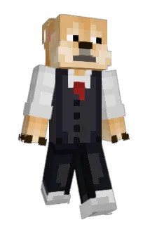 chr1skw Minecraft avatar full body