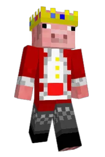chri121 Minecraft avatar full body
