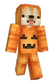 chris529 Minecraft avatar full body