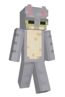 chscake Minecraft avatar full body